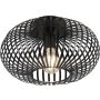 Trio JOHANN 606903032 lampa sufitowa 1x60w/e27   ip20