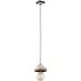 Alfa LARSO 61540 lampa wisząca 1x15W/E27   