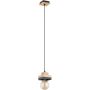 Alfa MIKO 61542 lampa wisząca 1x15W/E27   