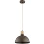Alfa NEOMI 61631 lampa wisząca 1x15W/E27   