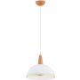 Alfa REYNO 61386 lampa wisząca 1x15W/E27   