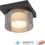 Paul Neuhaus RIKA 6162-18 lampa sufitowa 1x6W/LED 680lm 3000k ip20