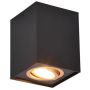Trio BISCUIT 613000180 donwlight natynkowy 1x35w/gu10   ip20