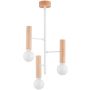 Alfa FLARA 62459 lampa sufitowa 3x15W/E27   