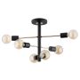 Alfa Brisk Pro 63184 lampa sufitowa 6x60W/E27 IP20