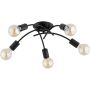 Alfa TORIZO 63426 lampa sufitowa 5x15W/E27   