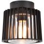 Lutec SHYNE 6397501012 lampa sufitowa 1x25w/e27   ip54