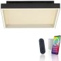 Paul Neuhaus Q-MAGONG 6316-18 lampa sufitowa 1x40W/LED 5700lm 2700-5000k ip20