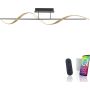 Paul Neuhaus Q-SWING 6385-13 lampa sufitowa 1x28W/LED 3100lm 2700-5000k ip20