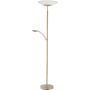 Paul Neuhaus ALFRED 655-60 lampa podłogowa 2x35W/LED 3900lm 3000k ip20