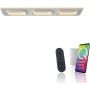 Paul Neuhaus Q-KALINA 6505-16 lampa sufitowa 1x61W/LED 6700lm 2700-5000k ip20