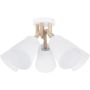 TK Lighting VAIO 666 plafon sufitowy 5x60W/E27 