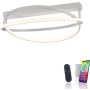 Paul Neuhaus Q-BELUGA 6739-55 lampa sufitowa 1x43W/LED 4800lm 2700-5000k ip20