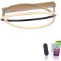 Paul Neuhaus Q-BELUGA 6739-60 lampa sufitowa 1x43W/LED 4800lm 2700-5000k ip20