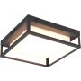 Trio WITHAM 677860142 lampa sufitowa 1x14w/led 1550lm 2300+3000+4000k ip54