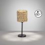 Fischer&Honsel Hyazinthe 50678 lampa stołowa 1x25W/E14  IP20