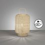 Fischer&Honsel Nature 50738 lampa stołowa 1x25W/E14  IP20