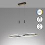 Fischer&Honsel Torcido 61018 lampa wisząca 1x27W/LED 2700K IP20