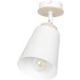 Emibig ATLAS 1 WHITE 724/1 lampa sufitowa 1x15W/E27 IP20