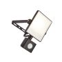 Endon Scimitar PIR 73452 kinkiet 10W/LED IP44 800lm