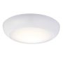 Endon Forca 77892 plafon sufitowy 12W/LED IP65 1140lm