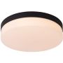 Lucide BISKIT 79111/30/30 plafon sufitowy 1x18w/led 1150lm 2700k ip44