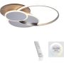 Paul Neuhaus PALMA 8328-79 lampa sufitowa 1x55W/LED 6000lm 2700-5000k ip20