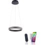 Paul Neuhaus Q-VITO 8410-13 lampa wisząca 1x33W/LED 3250lm 2700-5000k ip20