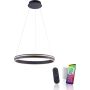 Paul Neuhaus Q-VITO 8411-13 lampa wisząca 1x44W/LED 4550lm 2700-5000k ip20