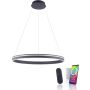 Paul Neuhaus Q-VITO 8412-13 lampa wisząca 1x65W/LED 7000lm 2700-5000k ip20