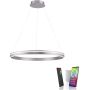 Paul Neuhaus Q-VITO 8412-55 lampa wisząca 1x65W/LED 7000lm 2700-5000k ip20