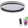 Paul Neuhaus Q-VITO 8414-13 lampa sufitowa 1x33W/LED 3250lm 2700-5000k ip20