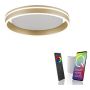 Paul Neuhaus Q-VITO 8414-60 lampa sufitowa 1x33W/LED 3250lm 2700-5000k ip20