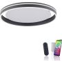 Paul Neuhaus Q-VITO 8416-13 lampa sufitowa 1x44W/LED 4570lm 2700-5000k ip20