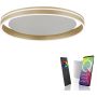 Paul Neuhaus Q-VITO 8416-60 lampa sufitowa 1x44W/LED 4570lm 2700-5000k ip20