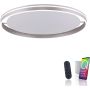 Paul Neuhaus Q-VITO 8418-55 lampa wisząca 1x65W/LED 7000lm 2700-5000k ip20