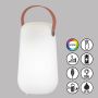 Fischer&Honsel Collgar 850282 lampa stołowa 2x0.5W/LED  40lm IP41 RGBW