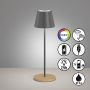Fischer&Honsel Cosenza 850329 lampa stołowa 2x2W/LED  270lm IP44 RGBW
