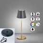 Fischer&Honsel Cosenza 2.0 850338 lampa stołowa 2x2W/LED  180lm IP44 RGBW