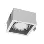 Antigo Cage 3273 downlight wpuszczany 1x15W/Gu10 IP20