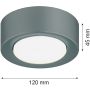 Argon ELORA 8917 plafon sufitowy 1x12W/GX53   IP20