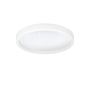 Eglo MONTEMORELOS-Z 900408 plafon sufitowy 1x17,8W/LED 2700-6500K IP20