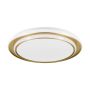 Eglo MOSCHETTA 902045 plafon sufitowy 36W/LED 4800lm 2700K, 4000K, 6500K IP20