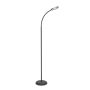 Eglo LAURO 902176 lampa podłogowa 1x5.5W/LED 600lm 2700K, 4000K, 6500K IP20