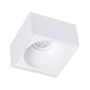 Eko-Light Bali ML0077 downlight wpuszczany 1x50W/GU10 IP20 