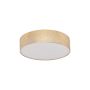 Eglo VISERBELLA 97641 Plafon sufitowy 1x60W/E27 