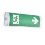 Endon Sight Plus 97817 Lampa awaryjna 3W 6500K IP65
