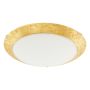 Eglo MONTENOVO 98023 Plafon sufitowy 1x16W/LED 3000K