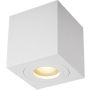 Zuma Line QUARDIP ACGU10-160 downlight natynkowy 1x50W/GU10 IP44 