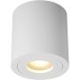 Zuma Line RONDIP ACGU10-158 downlight natynkowy 1x50W/GU10 IP44 
